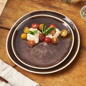 Anthropologie Dakota Melamine Dinner Plates | Set of 4 | 10.5"